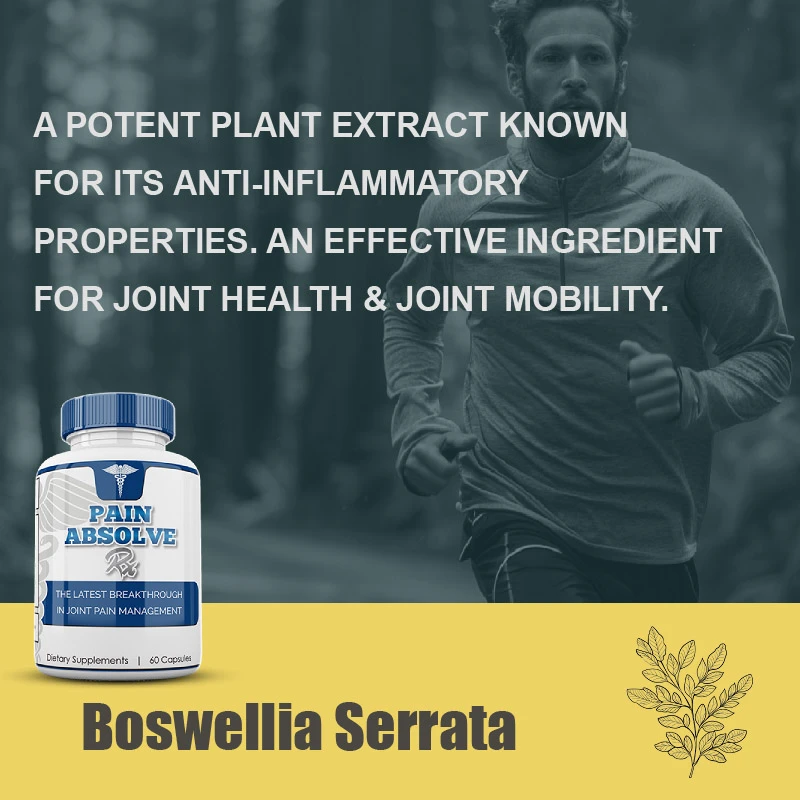 Boswellia Serrata Benefits